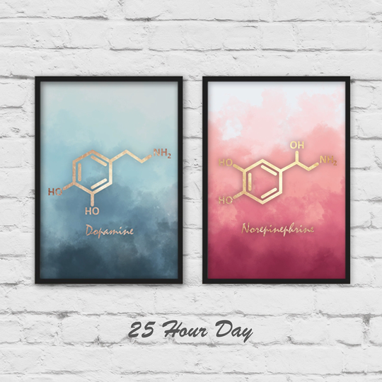 Molecule Art, Norepinephrine Art, Dopamine Chemistry Gift, Teacher Gallery Wall, 2 Piece Wall Set Of Prints, Science Art