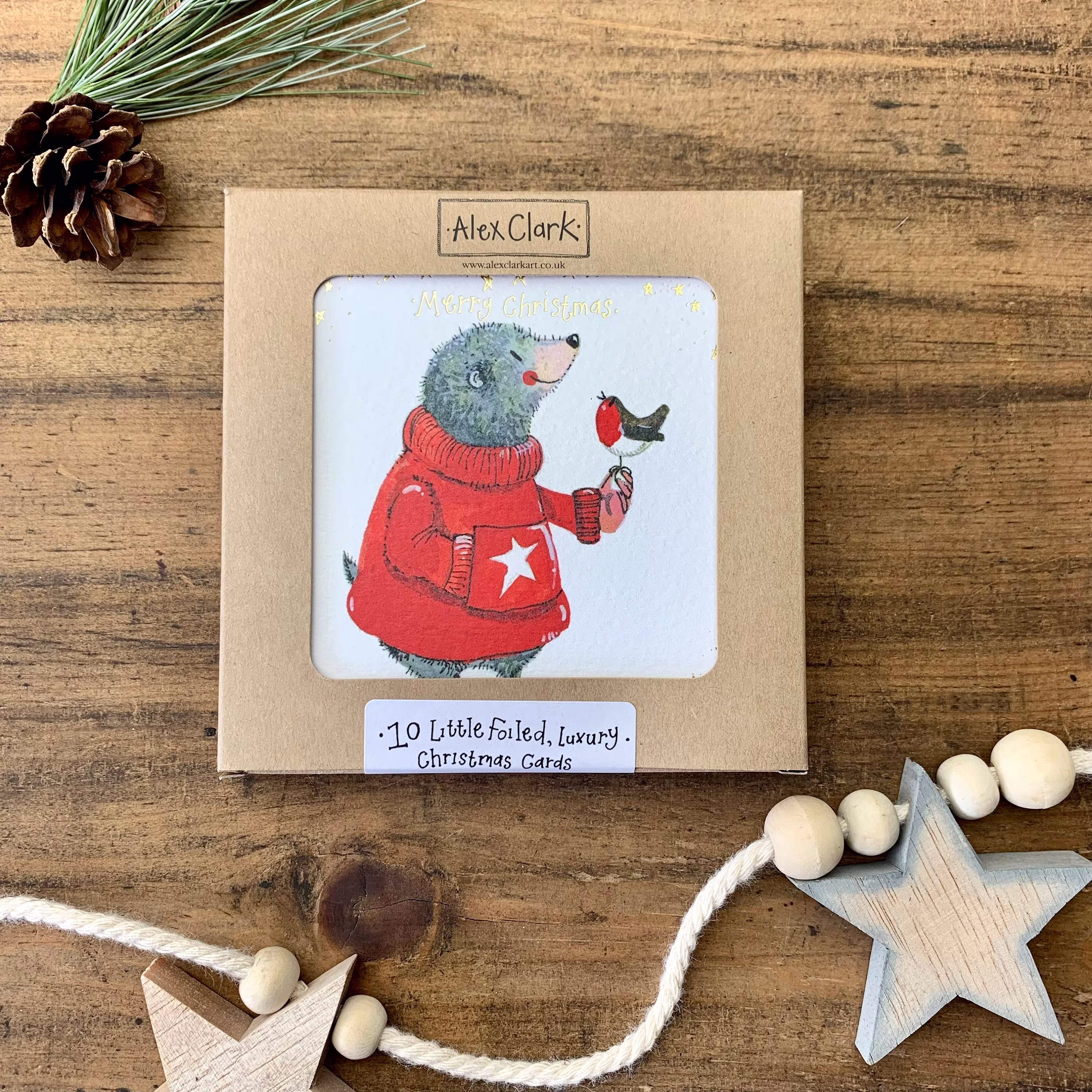 Mole & Robin Little Luxury Foil Christmas Cards Box - Pack Of 10 | xk10