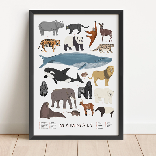 Mammals Illustrated Print - Mammals Illustration Animal Mammal Natural History Nursery Art Children's Room