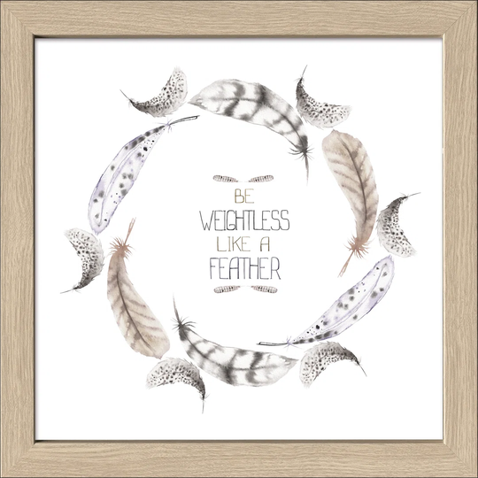 Feather I Framed Graphic Art Print Poster