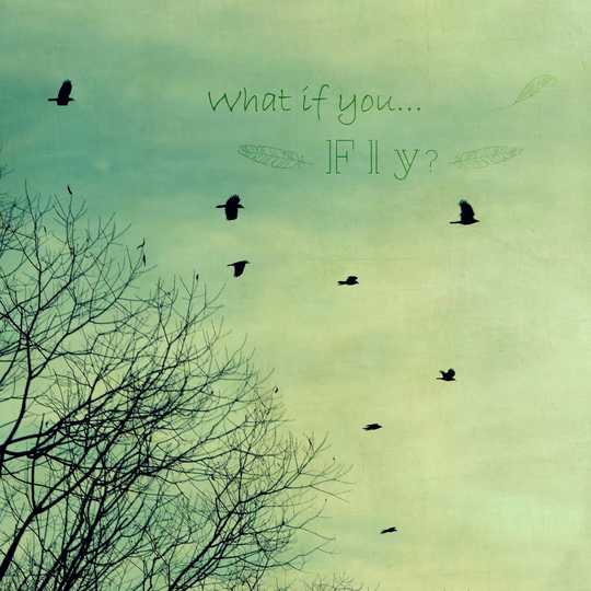 What If You Fly by Robert Dickinson - Wrapped Canvas Graphic Art Print