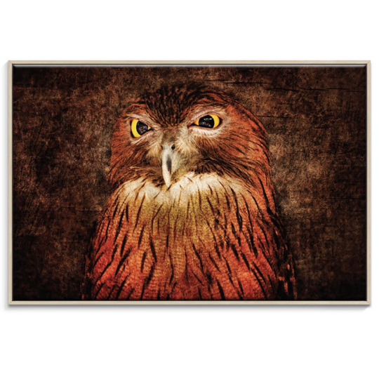 'Unimpressed' Framed Graphic Art on Canvas
