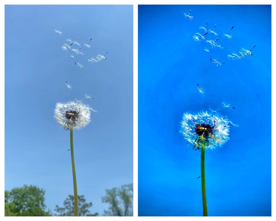 Digitally Enhanced Photo Of Landscape/Flowers/Nature With Or Without Text Added. Great Gift