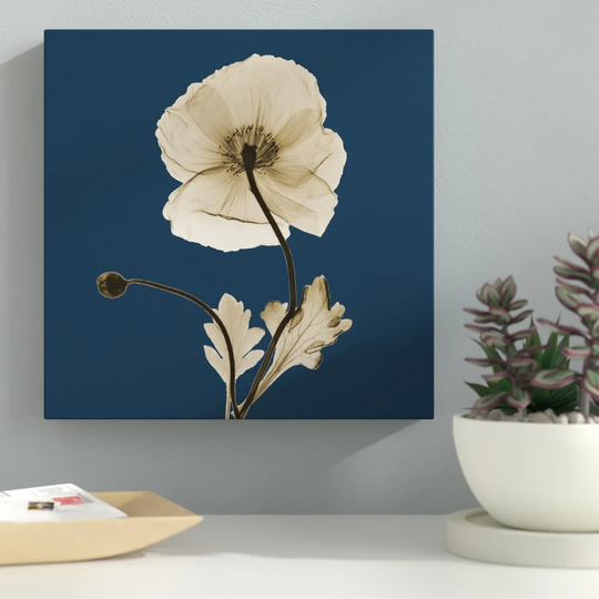 Luster Iceland Poppy_B16 - Wrapped Canvas Graphic Art Print