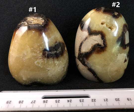 Septarian | Statues
