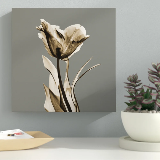 Grey Luster Tulip - Wrapped Canvas Graphic Art Print