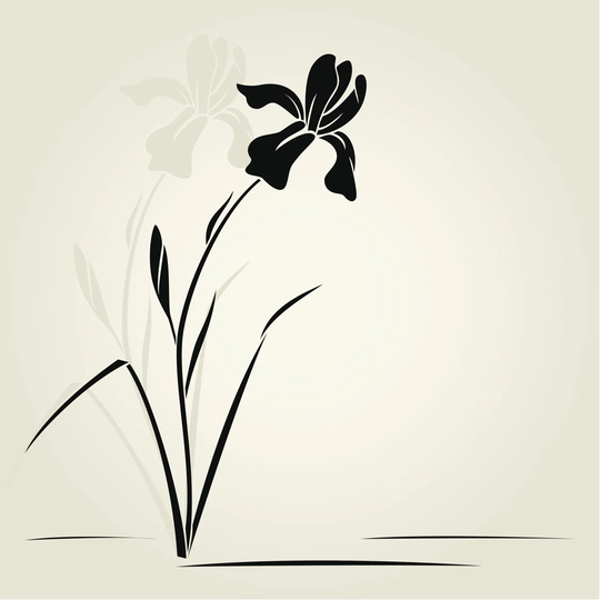 Graphic of Black Iris Flower on Off White Background by Chelnok - Wrapped Canvas Graphic Art
