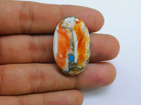 Top Quality Spiny Oyster Turquoise Cabochon For Jewelry Making Gemstone Loose Stone34Ct 34x22mm#9370