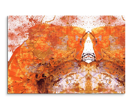 Enigma 640 Abstract Graphic Art Print on Canvas