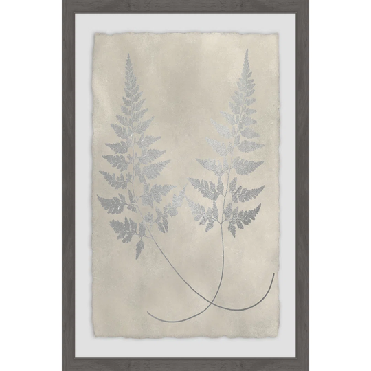 Vintage Fern Study IX - Picture Frame Graphic Art Print on Paper