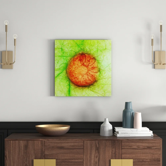 Enigma Abstract 1141 Graphic Art Print on Canvas