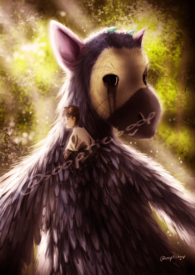 Trico & Boy