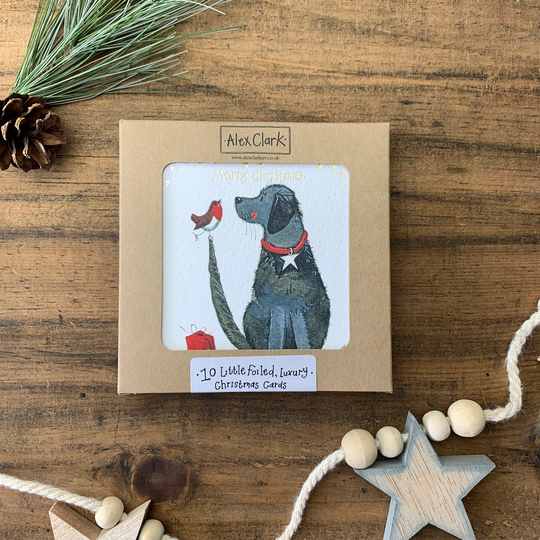 Dog & Robin Little Luxury Foil Christmas Cards Box - Pack Of 10 | xk02