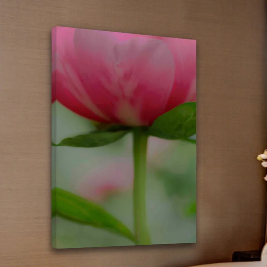 Soft Pink Poppy by Don Schwartz - Wrapped Canvas Graphic Art Print