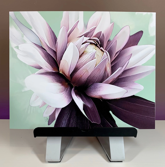 Violet & White Dahlia With Sea Green Background