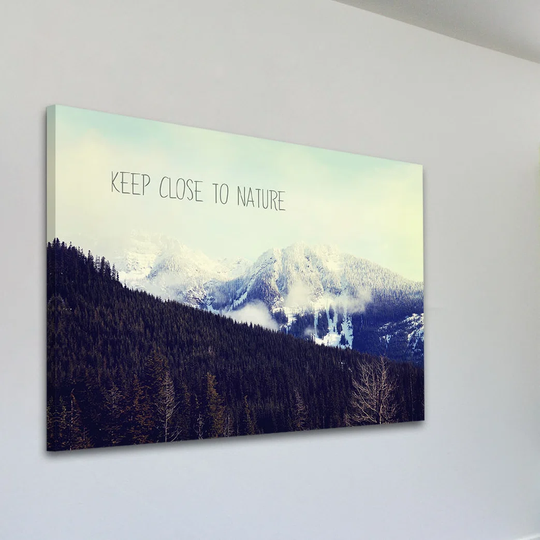 Keep Close to Nature by Sylvia Cook - Wrapped Canvas Graphic Art Print
