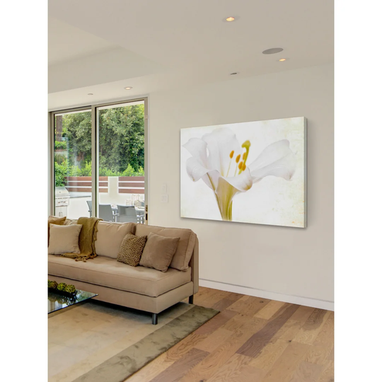 Casablance White by Sia Aryai - Wrapped Canvas Graphic Art Print
