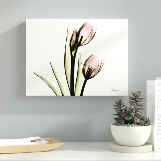 Tulip Love H37 - Wrapped Canvas Graphic Art Print on Canvas