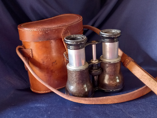 Antique Opera Glasses, W. Gregory Binoculars, Victorian Small Field Man Cave, Display, Gift