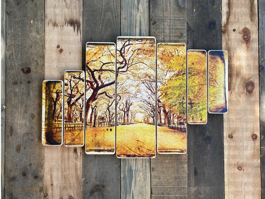 The Mall Central Park Manhattan New York City Original Horizontal Landscape Photography Hand Crafted On Wood - 38x24Inches