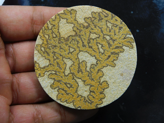 Amazing Psilomelane Dendrite Top Quality Loose Stone Semi Precious Handcraft For Jewelry 185 Ct Mm #8827