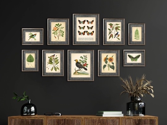 Vintage Style Botanical Prints, Poster, Flower Butterfly Sunflower Flamingo Cactus Leaf Rose Bird | Set Of Prints Bc