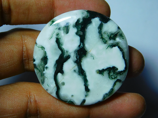 Natural Tree Agate Gemstone, Top Quality Cabochons, Tree Semi Precious, Tree Loose Stone 73Cts.(39x39mm