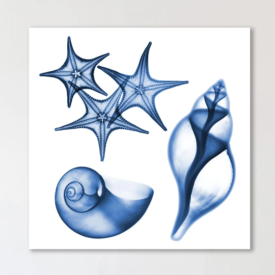 Blue Assortment Three - Wrapped Canvas Graphic Art Print