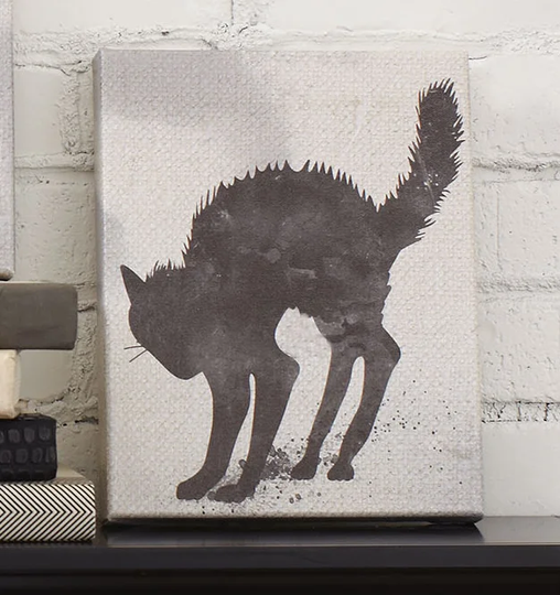 Cat - Wrapped Canvas Graphic Art Print