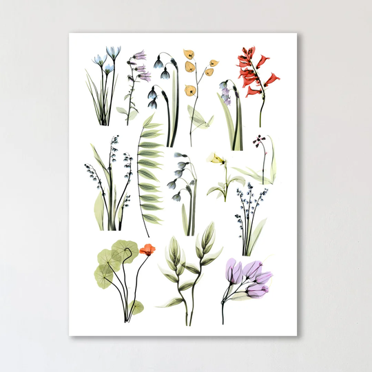Mini Zen Garden 1 - Wrapped Canvas Graphic Art Print