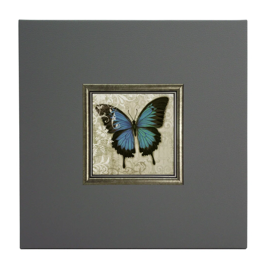 Blue Butterfly II Framed Graphic Art Print on Paper