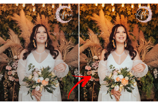 Wedding Photo Retouching - Bride Pose Editing - Body Slimming-Arm & Chin Contour - Fix Lighting - Color Image Edit - Photoshop Service