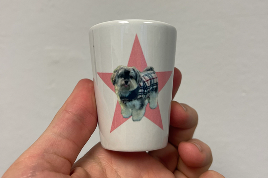 Custom Shot Glass | Glasses Set Girls Trip Gift 21 Bday Bachelorette Party Funny 21st Birthday Custom