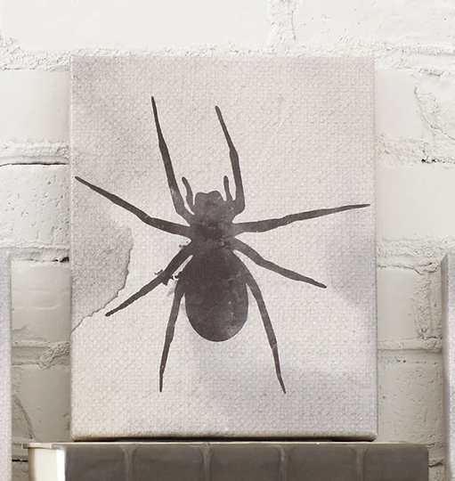 Spider - Wrapped Canvas Graphic Art Print