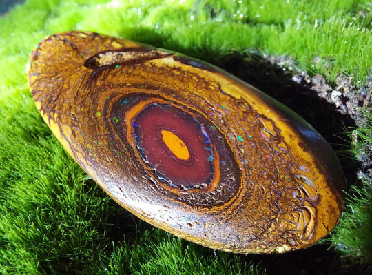 Boulder Opal, Yowah Nut, Cabochon, Cab, Australian Matrix Koroit Opal