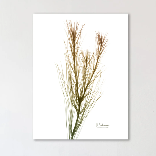 Autumn Botanical - Wrapped Canvas Graphic Art Print