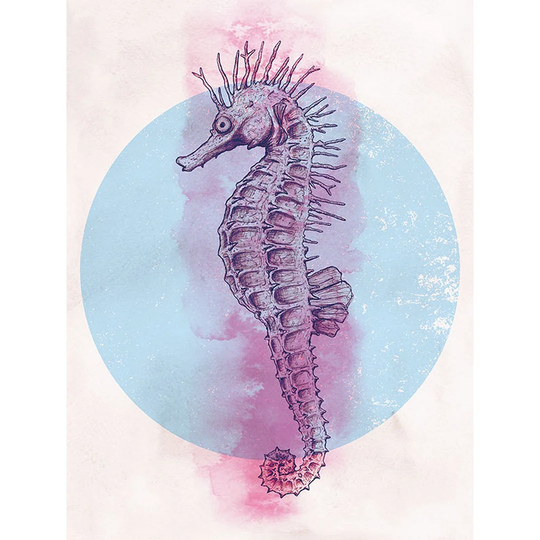 Seahorse Circle - Graphic Art Print on Paper