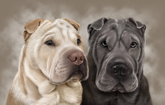 Bespoke Art Dog Cat Animal Pets Drawing Digital Print Portrait