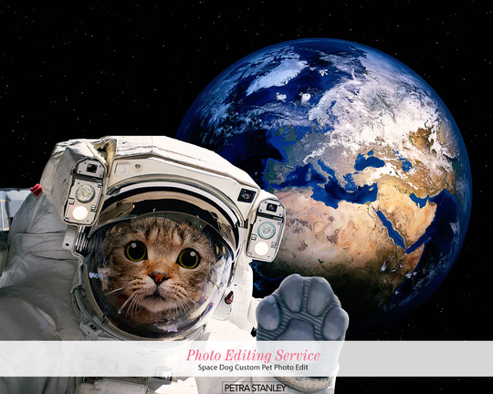 Digital Delivery, Astronaut Cat Portrait Edit From Your Photo, Photoshop Composite Space Photo Edit, Royal Pet Portrait, Lover Gift