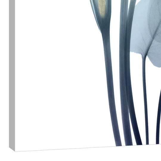 Gold Splash Calla Lily 2 - Wrapped Canvas Graphic Art Print
