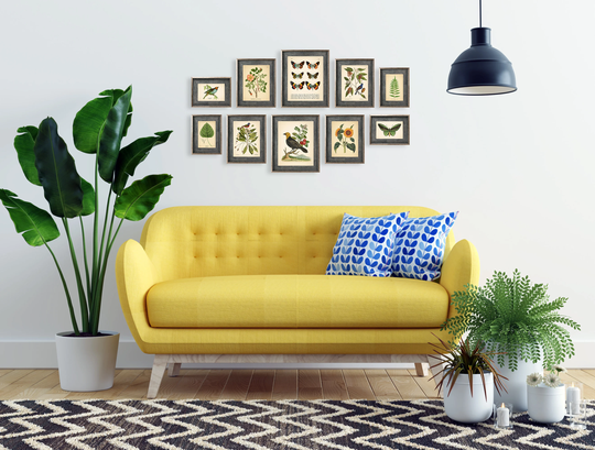 Set Of 10 Vintage Botanical Prints, Poster, Flower Butterfly Sunflower Flamingo Fern Leaf Rose Bird | Prints Bc