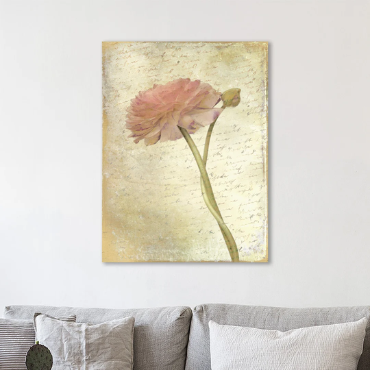 Ranunculus Bloom 2 by Kimberly Allen - Wrapped Canvas Graphic Art Print