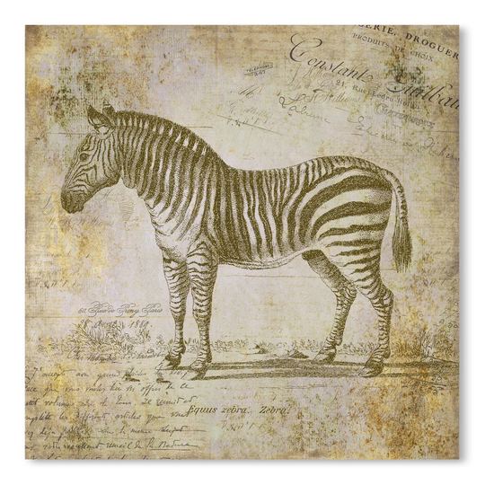 Zebra Vintage 3 by Lebens Art - Graphic Art Print