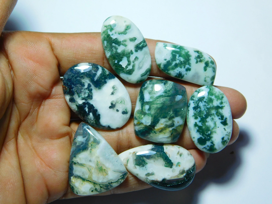 7 Pcs. Natural Tree Agate Lot Gemstone, Top Quality Cabochons, Tree Semi Precious, Tree Loose Stone 192Cts