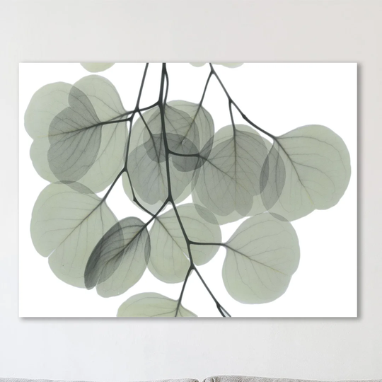 Descending Eucalyptus 5 - Wrapped Canvas Graphic Art Print