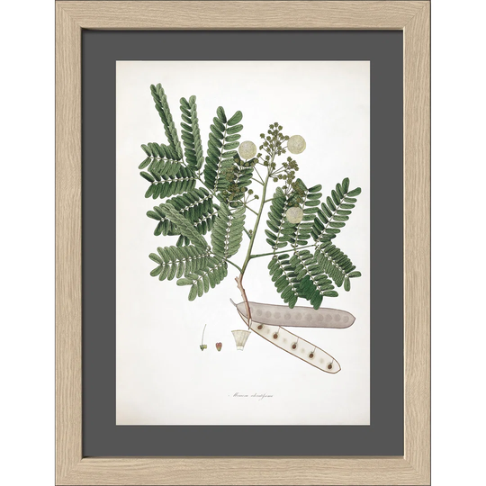 Cylon Rosewood Framed Graphic Art Print Poster