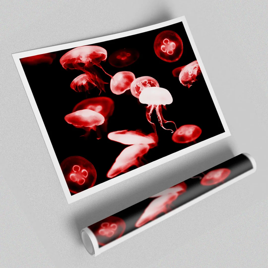 Red Neon Jellyfish - Graphic Art Print on Paper
