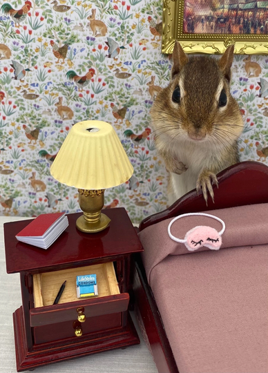 Chipmunk Bedside Notecard