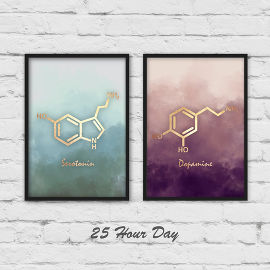 Set Of 2 Wall Art, Serotonin Art, Dopamine Chemistry Gift, Teacher Gallery Wall, Piece Set Prints