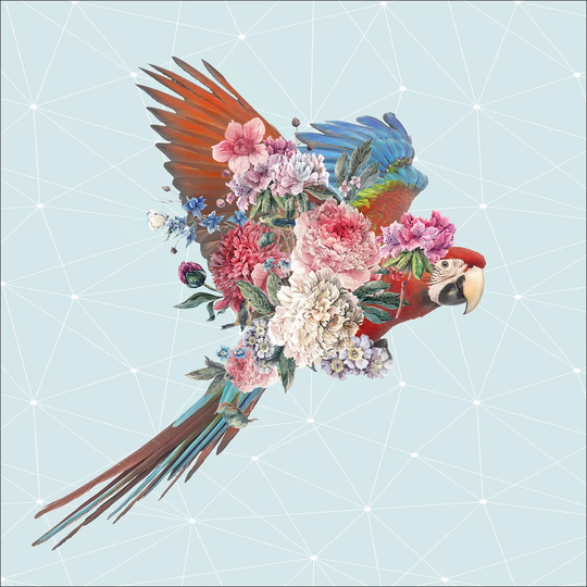 Parrot Graphic Art Print on Canvas